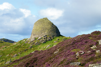 Heather at THe Broch at Carloway - Western Isles