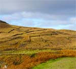 Peat Banks near Bridge to Nowhere