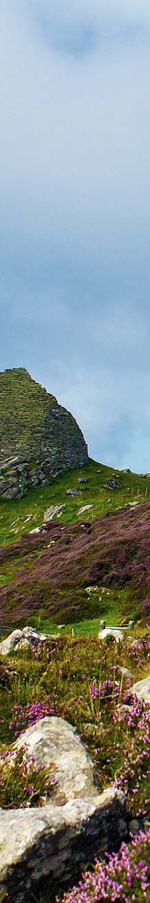 Isle of Lewis Moorland