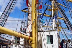 The Mir - Masts and Sails 
