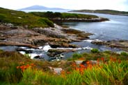Isle of Harris - Amhuinnsuidhe 