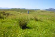 Western Isles Photos - Balallan   
