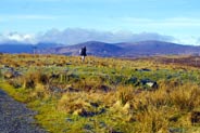 Isle of Lewis - Balallan - Western Isles 