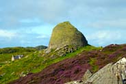 Bell Heather -Pink - Purple Hebrides Flowers