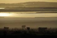 Newmarket - Early Morning Mist - Isle of Lewis