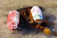 Floats - Western Isles Beach Finds Photos