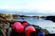 Flodobay - Golden Road - Outer Hebrides 