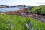 Keose Harbour - Lewis