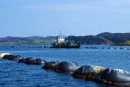 Keose - fishing Industry - Isle of Lewis - Western Isles