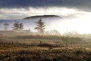 Western Isles Photos - Balallan Morning Mist 