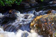 Stornoway Castle Grounds - River Creed-  Western Isles
