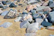 Western Isles Seals Photos - Mangertsa Beach
