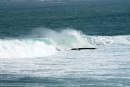 Western Isles Sea Pictures - Horgabost
