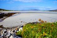 Seilabost - Harris - Western Isles