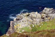 North Huisinis - Shags on the Rocks - Western Isles 