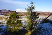 Western Isles Photos - Balallan 