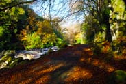 Stornoway - River Creed in Autumn -  Isle of Lewis