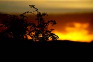  Western Isles Photos - Sunrise 